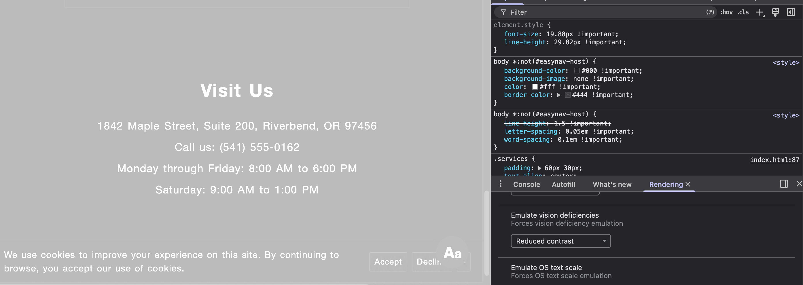 Contact section of demo website with EasyNav's dark contrast mode applied. White text on black background is fully readable even while the browser emulates reduced contrast.